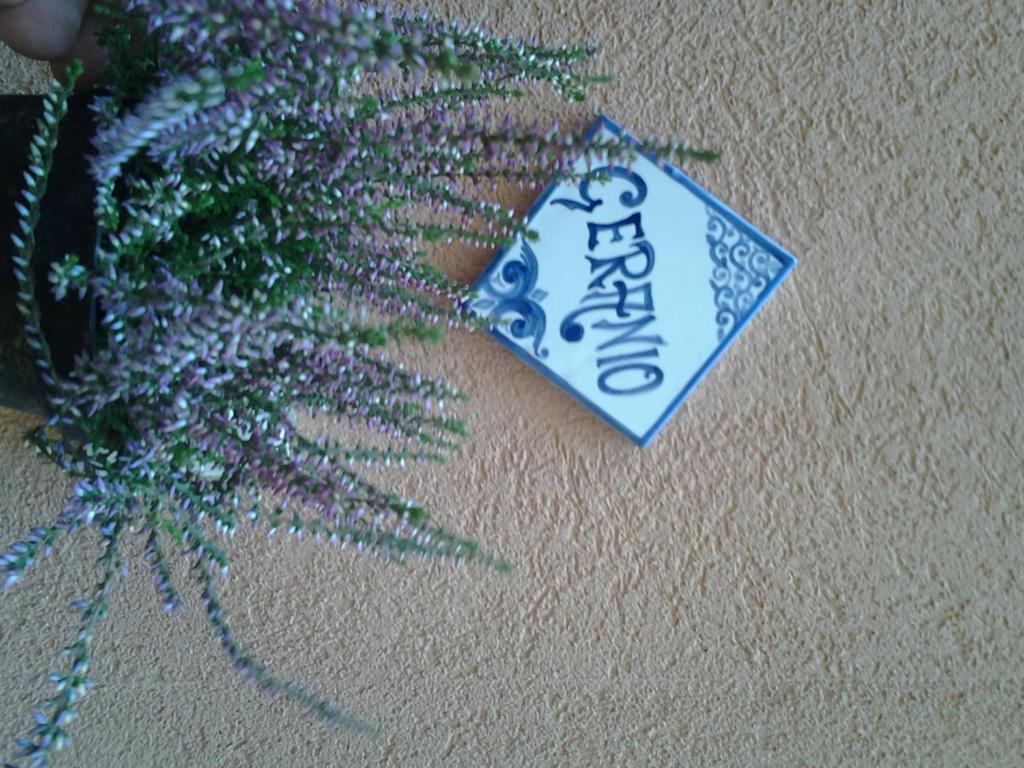 Il Cortile Fiorito Apartment Trapani Exterior foto